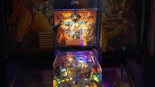 Thumbnail: New pickup: Black Rose (Bally, 1992)