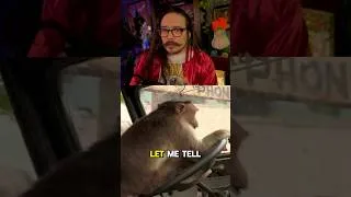 Thumbnail: Monkey steals a bus