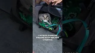 Thumbnail: All He Wanted Was Cat Food