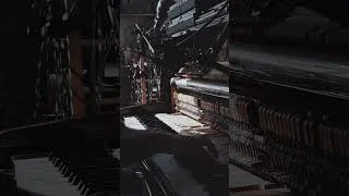 Thumbnail: 8 Light Years Away From Here by @luca_longobardi_.