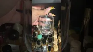 Thumbnail: Good to the last drop. I emptied it this morning 🥺😭😭 #perfume #productempties #explorepage #fyp