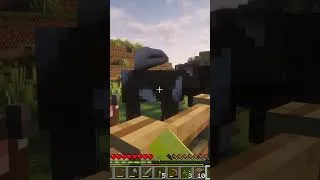 Thumbnail: PatPat