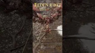 Thumbnail: Sloppy work but I got her 😂 #EldenRing #Malenia #EldenRingShorts