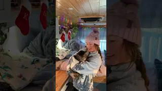 Thumbnail: Decorating my van for Christmas!🎄#vanlife #christmas #merrychristmas #winter #holiday #decor
