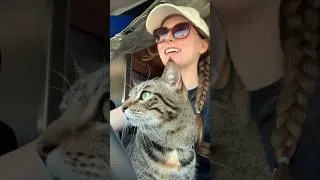 Thumbnail: Weighing Our Van! #vanbuild #vanlife #vanconversion #diy #cat #shorts