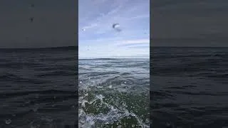 Thumbnail: The First people to surf this spot ever