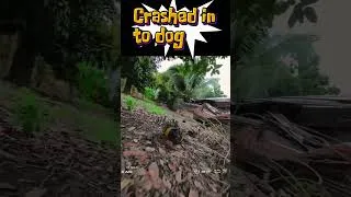 Thumbnail: I crashed in to a dog