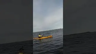 Thumbnail: When you can’t decide which way to paddle, just do a 180° spin like a boss!🤟😃