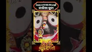 Thumbnail: ଭକ୍ତଙ୍କୁ ଦେଖି ଖିଲି ଖିଲି ହସୁଛି କାଳିଆ ସୁନା  || Kalinga TV