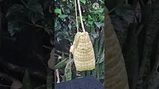 Thumbnail: # #basketkaisebanaye # #diy # #handmade #craft #wireworks #basketmaking #weaving
