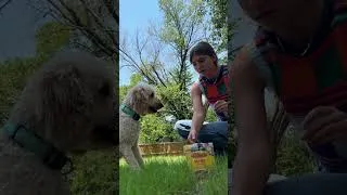 Thumbnail: our adventures