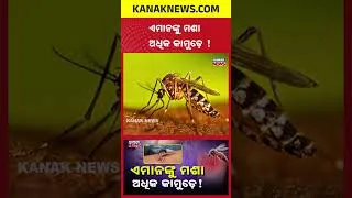 Thumbnail: Why Do Mosquitoes Bite YOU The Most? 4 Types Of People At High Risk!