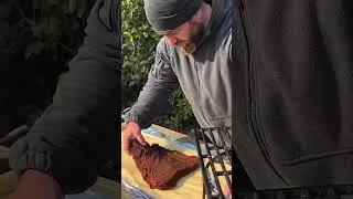 Thumbnail: Fire-Grilled Beef Rolls: The Ultimate Outdoor Feast! 🥩🔥