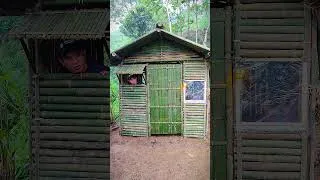 Thumbnail: survival building a bamboo house against rain, thunderstorms, and lightning