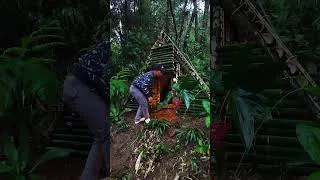 Thumbnail: camping survival building a bamboo house in the forest #bushcraft