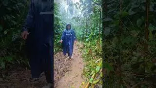 Thumbnail: camping heavy rain thunderstorms