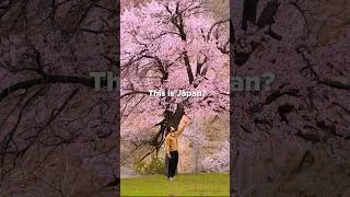Thumbnail: Hidden Japan in India 🇮🇳