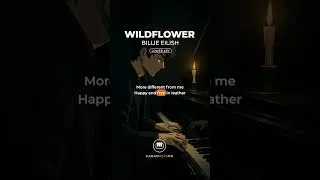 Thumbnail: Wildflower - Billie Eilish (Lower Key | Verse 2)