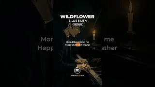 Thumbnail: Wildflower - Billie Eilish (Lower Key | Verse 2)