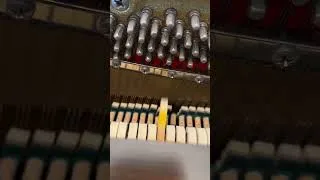 Thumbnail: Time to call the piano technician 😬 #piano #teacherproblems
