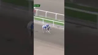Thumbnail: Isa Bell 3rd Leg Juvenile Stakes Race