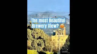 Thumbnail: This has to be the most beautiful brewery view in the world! 🏔️🍻 #shorts #tasmania