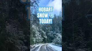Thumbnail: Hobart Woke Up Covered In Snow This Morning! ❄️🏔️ (Fern Tree, Tasmania) #Shorts
