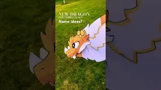 Thumbnail: FOR @p3bbl3_l3af #warriorcats #dragon #furry