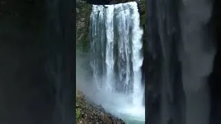 Thumbnail: IS THIS THE MOST SPECTACULAR WATERFALL IN COSTA RICA? #travel #travelling #waterfall