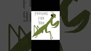 Thumbnail: Praying Mantis Has Begun