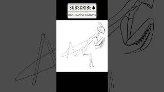 Thumbnail: Praying Mantis Rough Sketch