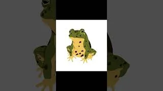 Thumbnail: Frogbert Full Process - Short