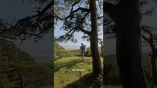 Thumbnail: Solo hammock camping in the woods 🌲🌙