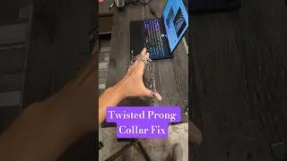 Thumbnail: Twisted Prong Collar Fix