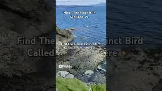 Thumbnail: Find The Puffin! #shorts