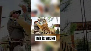 Thumbnail: Cub petting is a red flag🚩Run the other way #tigercub #cubpetting #unethicalzoo #zoo #animalwelfare