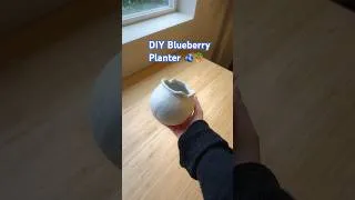 Thumbnail: DIY Clay Blueberry Plant Pot 🫐🪴 Pt. 1
