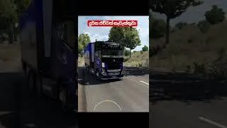 Thumbnail: දුවන ඒවා නැද්ද #shorts#trending#viral
