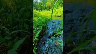 Thumbnail: Mini waterfall #asmr #waterfall #nature #waterflowsound #relax #watersoundsforsleep  #relaxingmusic
