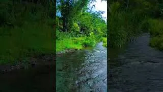 Thumbnail: River sound #asmr #tranding #relax #chill #nature #waterflowsound #watersounds #watersoundsforsleep