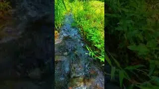 Thumbnail: Nature sound river #asmr #riversounds #nature #forestriversounds #watersounds #relax #mountains
