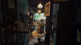 Thumbnail: YAP-SANDIEGO CEBU’S OLDEST HOUSE? #shorts #travel #vlogger #heritage #historical