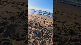Thumbnail: Fishing Amanzimtoti |  Lucky Catch !