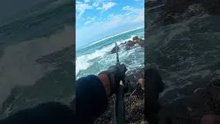 Thumbnail: Nothing Beats this Feeling when it Hits ! 🎣