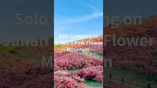 Thumbnail: Solo Camping on Japan's Pink Flower Mountain