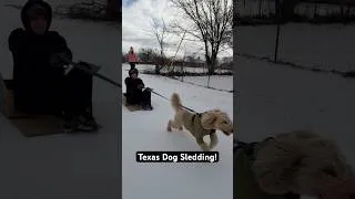 Thumbnail: POV: Coming up with Winter Storm Activities in Texas