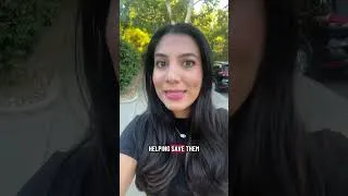 Thumbnail: Sacramento residents concerned over red curb repainting and parking rules