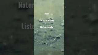 Thumbnail: Relax, listen to the rain.