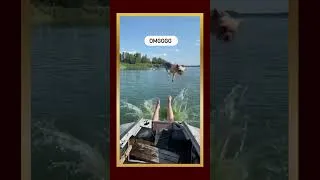 Thumbnail: Taking your dogs with you they said... #dogs