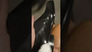 Thumbnail: Polishing Black Shoes